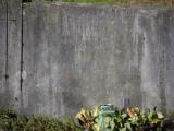 image of grave number 963394
